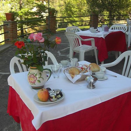 קסטלינה מריטימה Hotel Il Poggetto מראה חיצוני תמונה